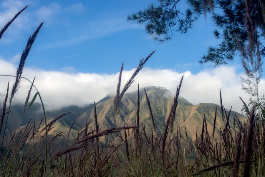 Parque Nacional Valle Nuevo