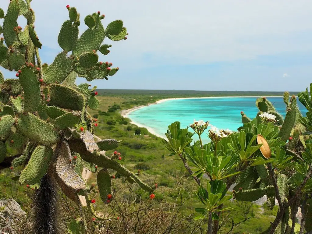 Pedernales Turismo