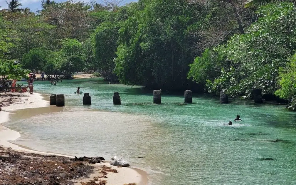 Rio caño frio playa rincon samana