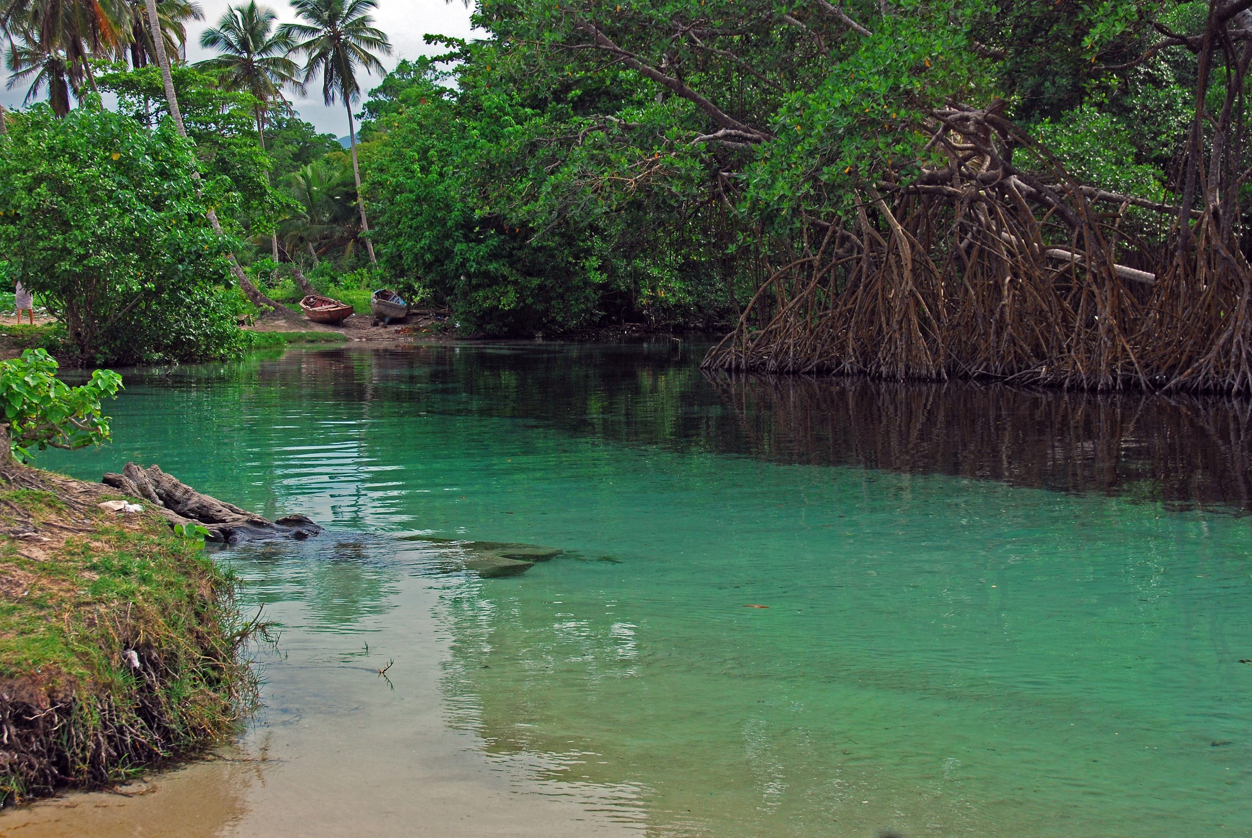 Rio Caño Frio, Las Galeras Samana