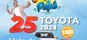 Lista de Boletos Ganadores de la Rifa El Verano de Papa leidsa 25 carros 2024