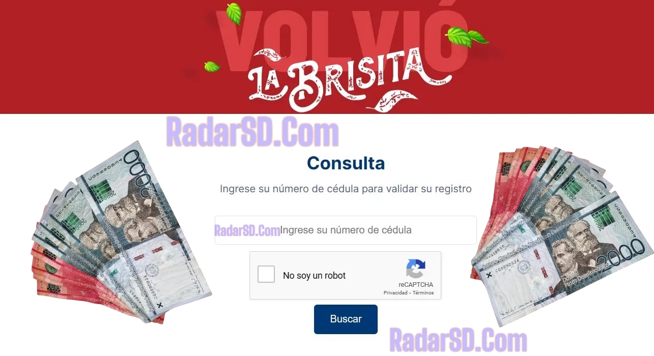 Bono la brisita navideña 2025