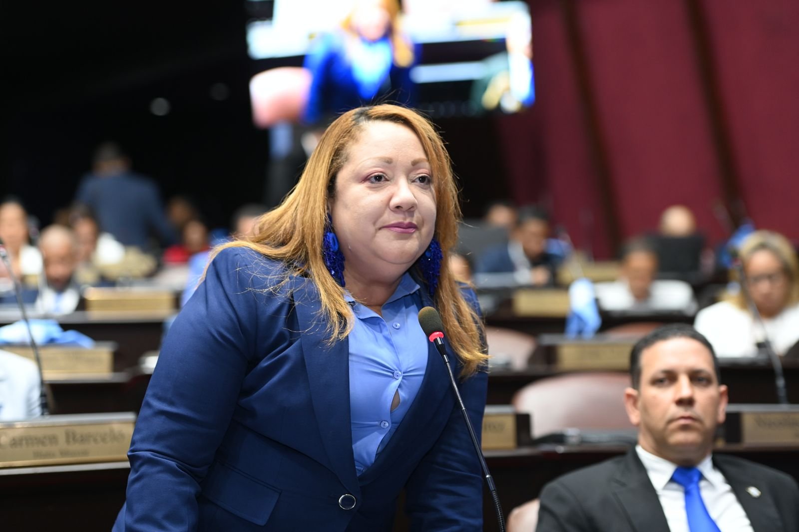 Fiordaliza Esteves diputada del PRM agrede seguridad presidencial