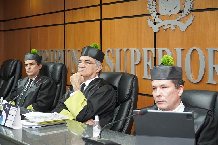 TSE estudia solicitud para cancelar reconocimiento legal de 33 partidos y movimientos políticos